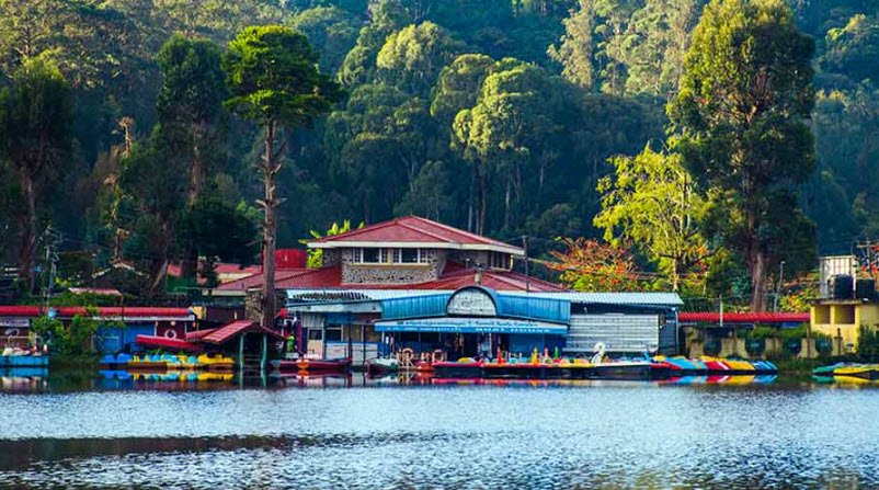 Kodaikanal , Tamil Nadu, India